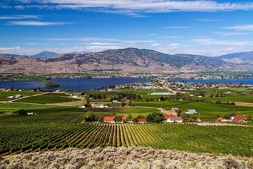 Osoyoos and Osoyoos Lake in British Columbia.