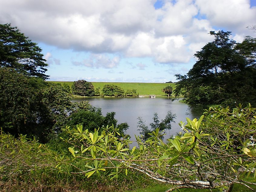 Loko Waimaluhia (Inside Peaceful Waters), Ho'omaluhia Botanical Garden, Kaneohe, Oahu