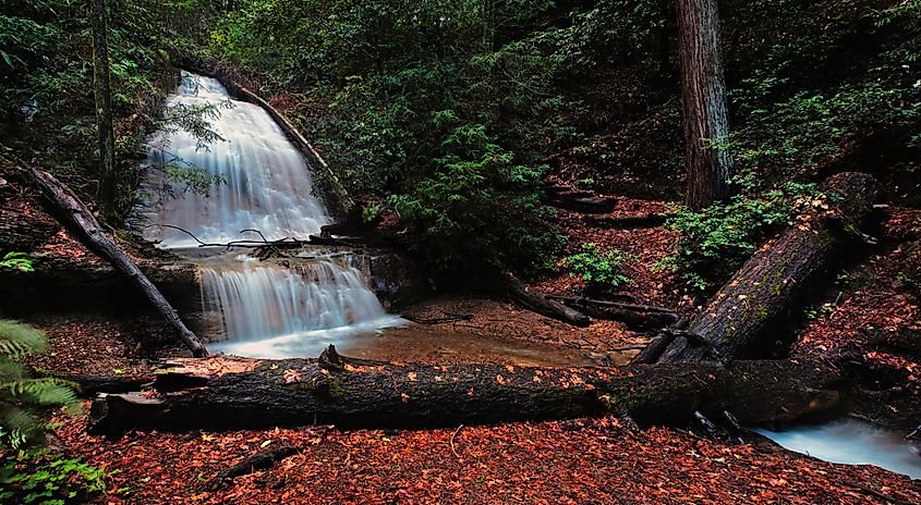 Golden Cascade Falls in Big Basin Redwoods State Park