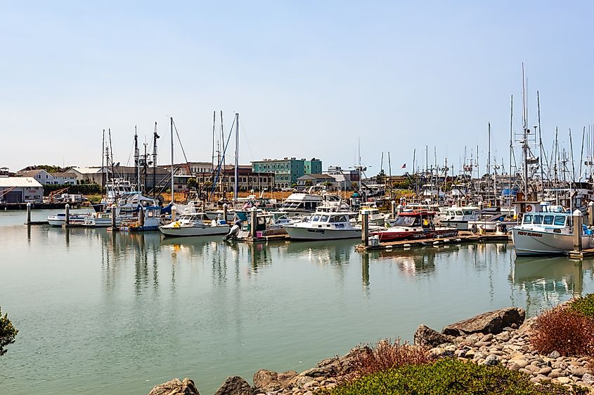 Beautiful view of the Woodley Island Marina in Eureka, California.
