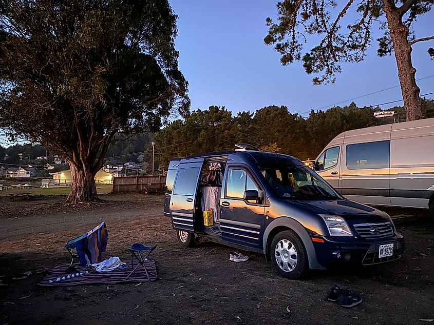 A sunburst pattern stretches across a blue camper van at a municipal campground.