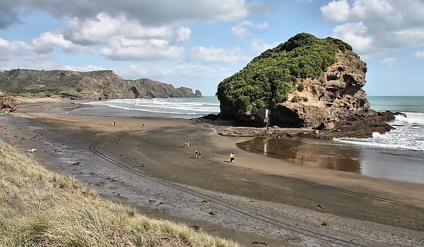 Te Henga - Bethells Beach landscape near Auckland, New Zealand. Tasman Sea.