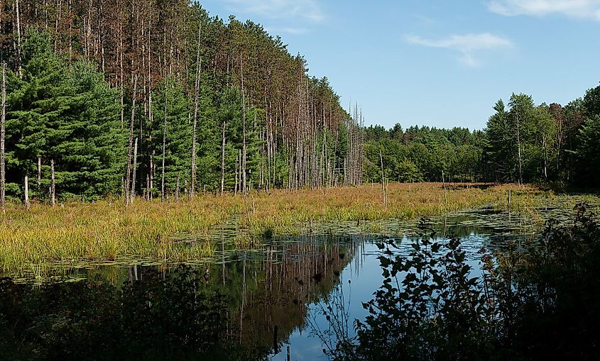 Wells State Park, Sturbridge MA