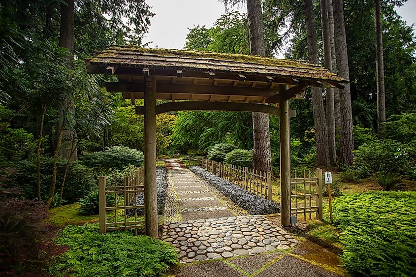 Japanese wooden garden gate in Bloedel reserve, cobble stone path road, zen background with outdoor beautiful scenic nature. Brainbridge Island, Washington. Editorial credit: Sacred Spark Art / Shutterstock.com