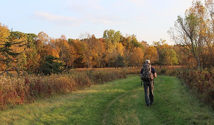 Taking a Hike around Sugar Bottom in North Liberty