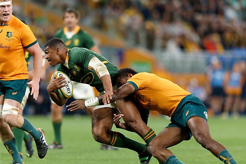 The Rugby Championship match between the Australia Wallabies and South Africa Springboks at Allianz Stadium. 