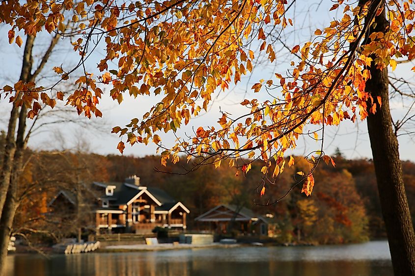 Colorful fall leaves with a serene lakeside background at Fairview Lake YMCA Camps in Newton, New Jersey.