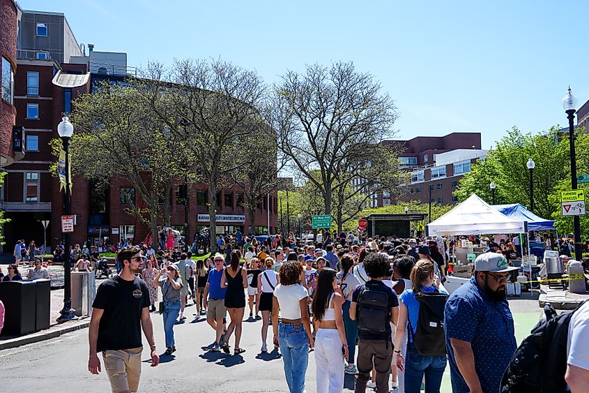 Mayfair Festival Harvard Square Cambridge, Massachusetts