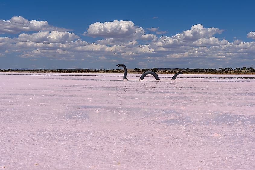 Loch-Eel Monster near the town of Lochiel in South Australia.