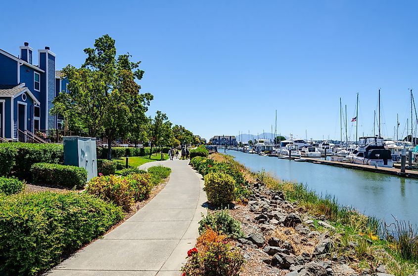 The marina in Benicia, California.