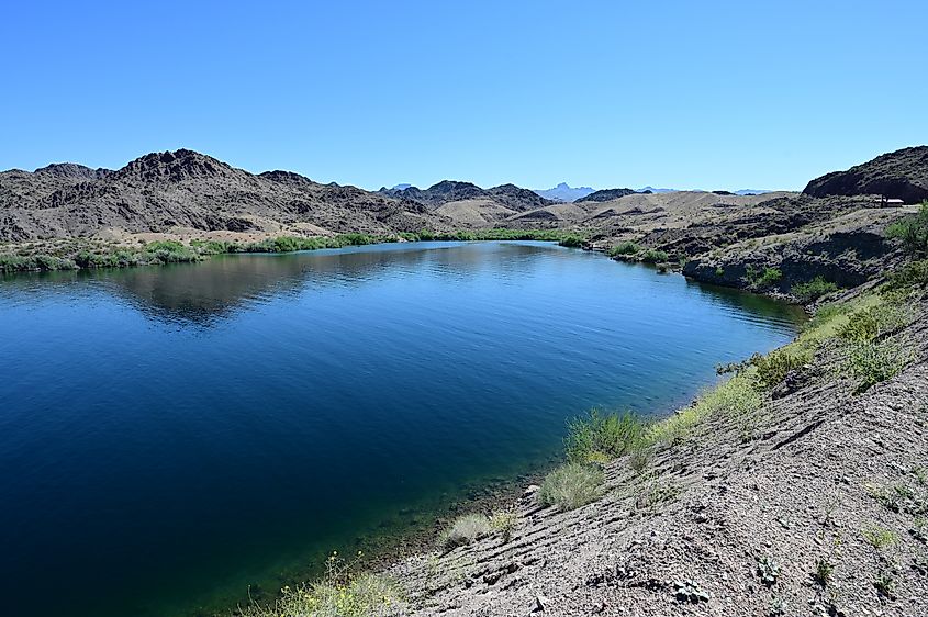 Lake Mohave in Nevada.