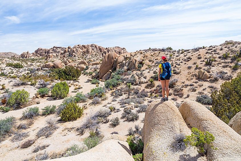 Young woman admiring the view in Joshua Tree National park.