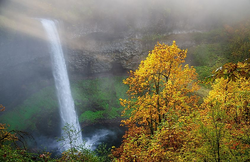 South Falls at Silver Falls State Park, the largest state park in Oregon