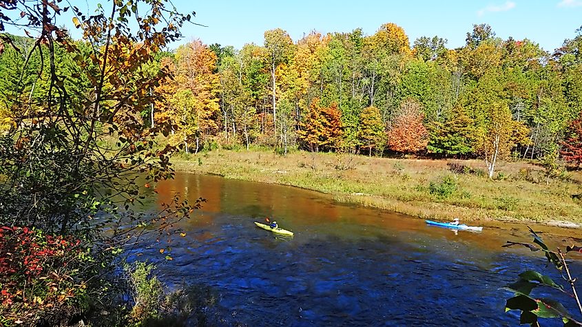 Manistee River Trail in Michigan