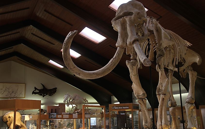 Tate Geological Museum at Casper College