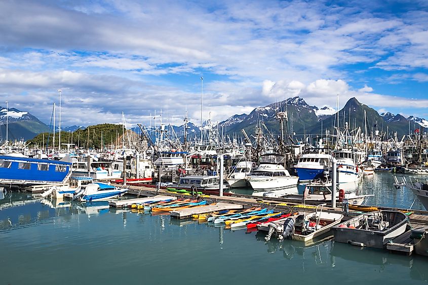 The marina at Valdez, Alaska