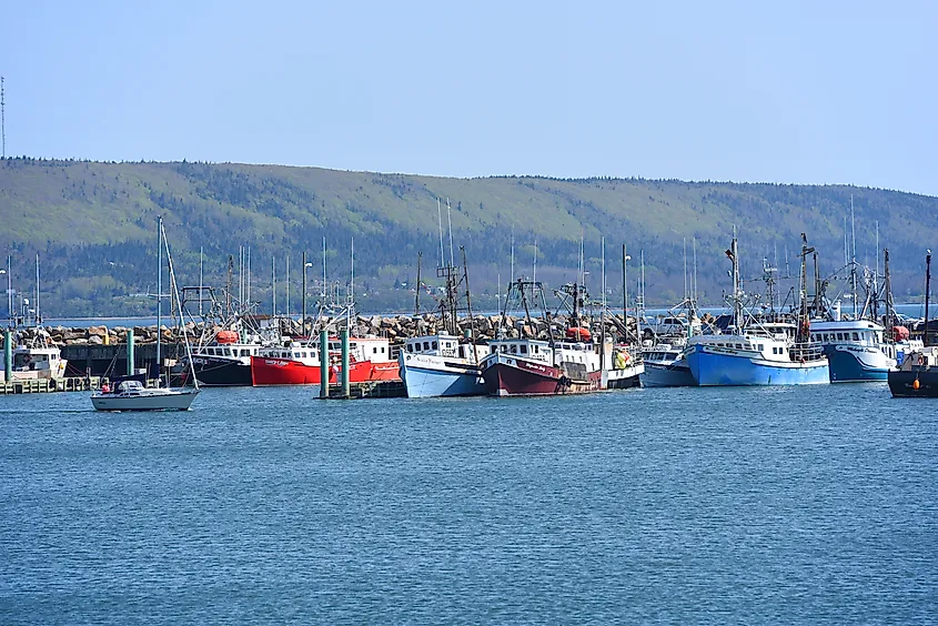 Fishing boats at the Digby port in town of Digby, Nova Scotia, Canada.