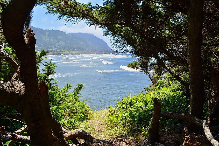 View of the sea from Yachats, Oregon.