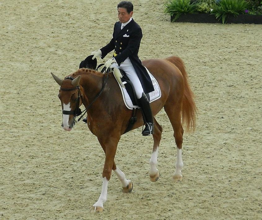 Hiroshi Hoketsu, the oldest competitor at the London 2012 Summer Olympics. Image credit The Rambling Man and Kim Ratcliffe via Wikimedia.