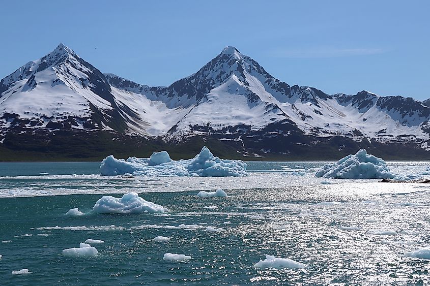 Icebergs floating in Resurrection Bay with mountains in background.