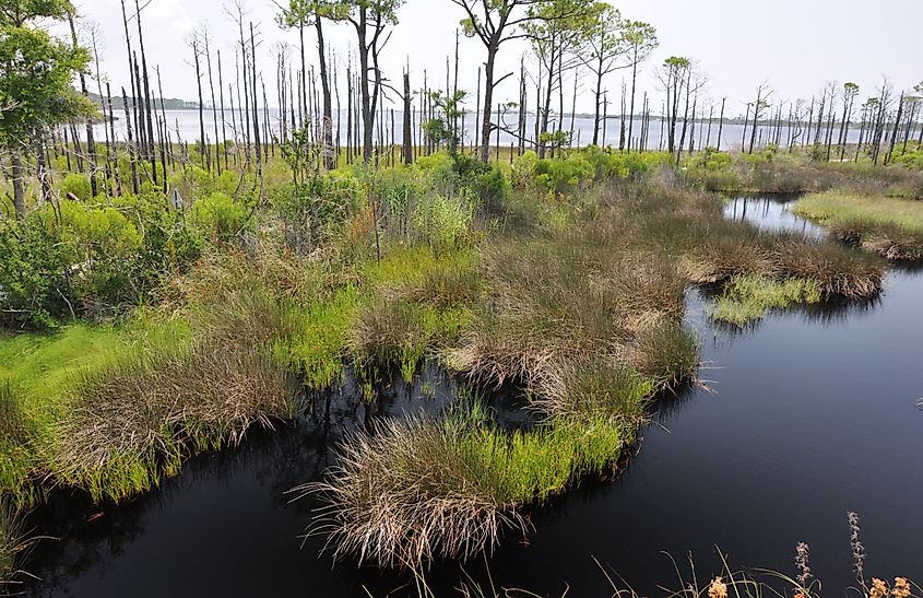 Bon Secour National Wildlife Refuge in Gulf Shores, Alabama.