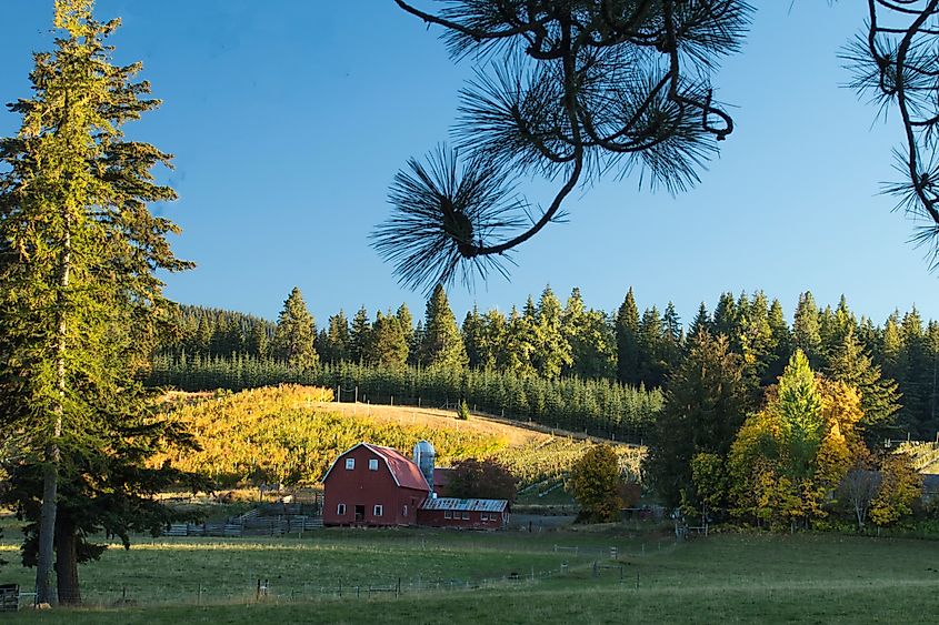 Rural Landscape, Hood River, Oregon