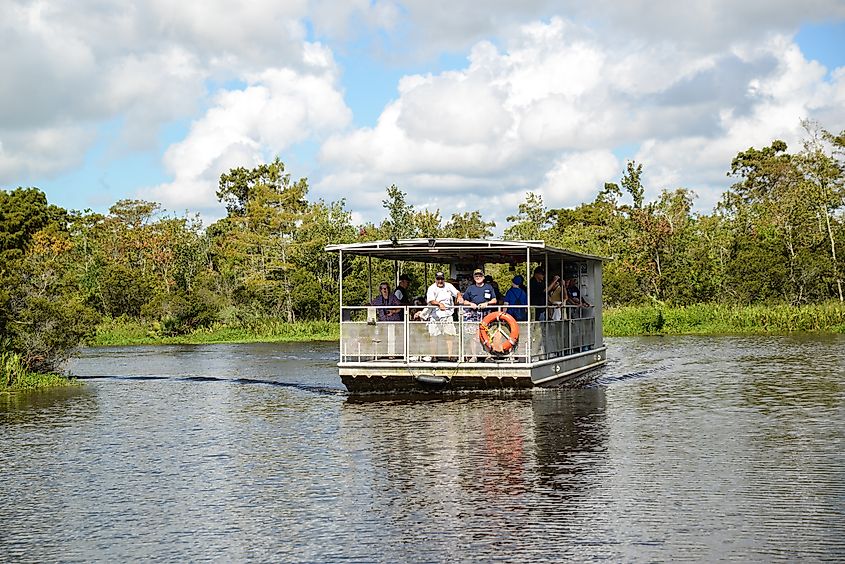 A swamp tour in Marrero, Louisiana.