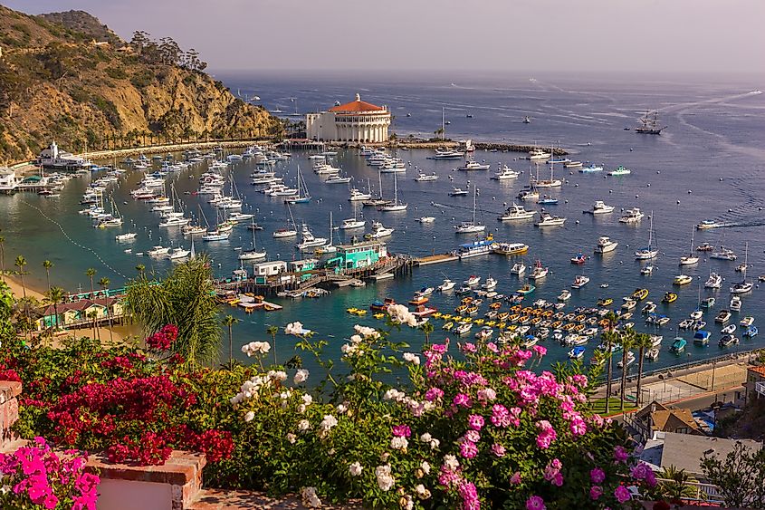 Aerial view of Avalon, California