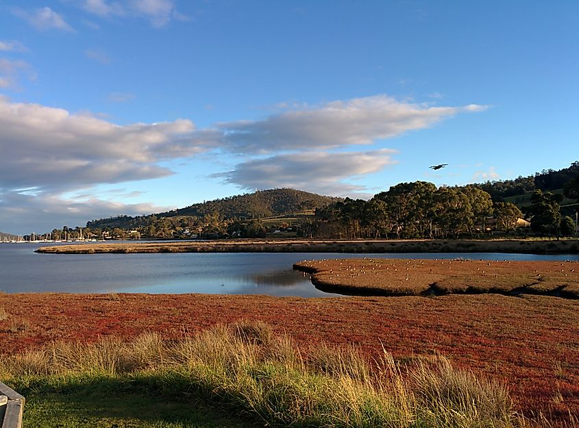 Port Cygnet, Tasmania