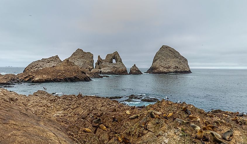 View from Farallon Island