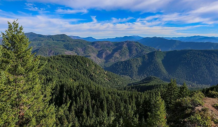 Mountains in Willamette National Forest in Oakridge, Oregon.