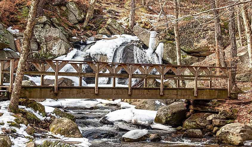 A partially frozen trap falls in Willard Brook State Forest in Ashby, Massachusetts.