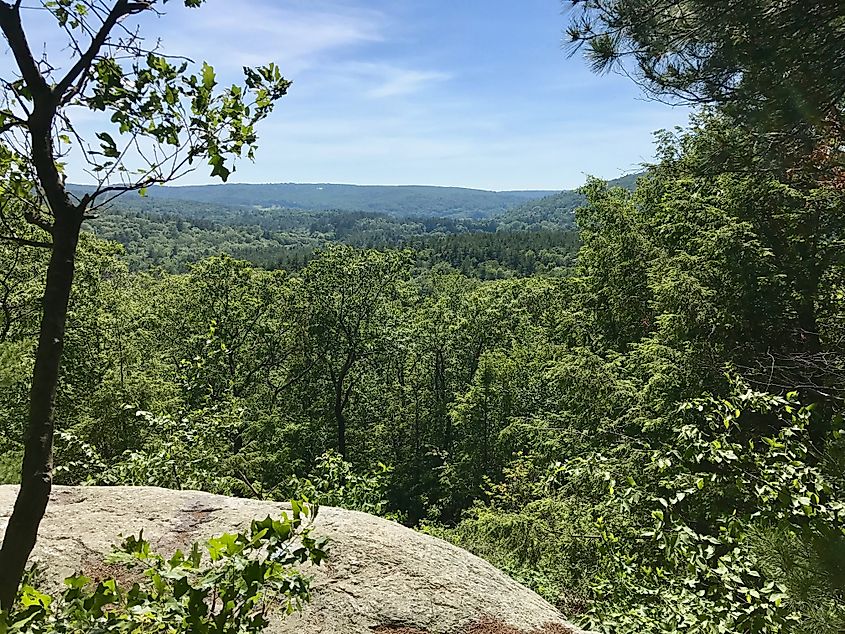 Valley Outlook Trail in the Nepaug State Forest