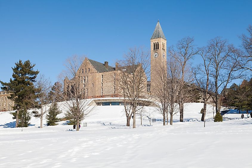 Uris Library and Mcgraw tower in white snow in Cornell University, Ithaca, New York.