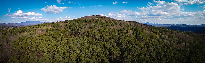 Saxon Hill in Essex, Vermont, featuring forested trails popular for hiking, mountain biking, and nature walks.