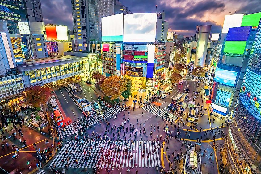 50 reasons why Tokyo is the greatest city on Earth