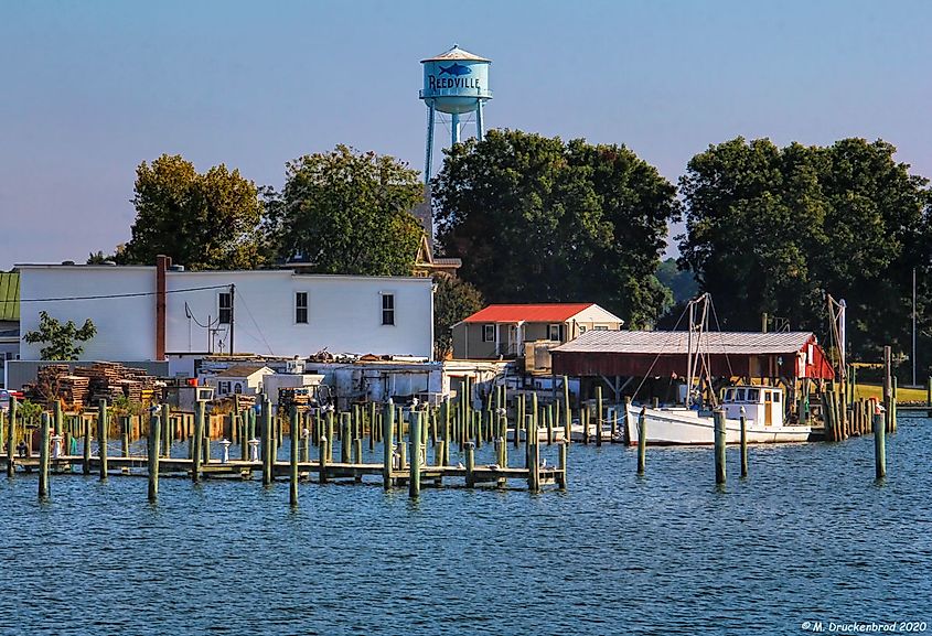 Commercial Fishing Docks along Reeds Point in Reedville, Virginia