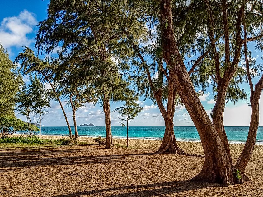 Waimanalo Beach Park in Oahu, Hawaii