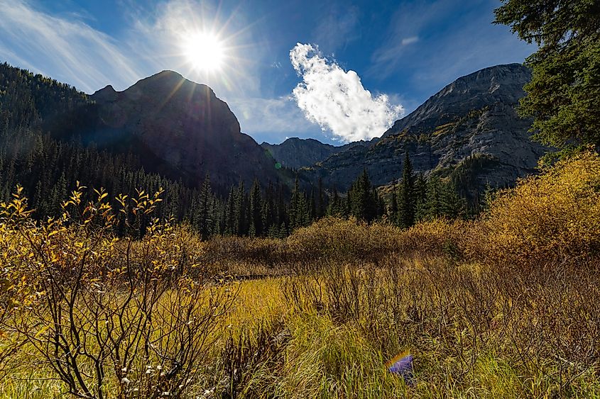 One of the vistas you will encounter at the top of the Black Prince Cirque Interpretive trail. 