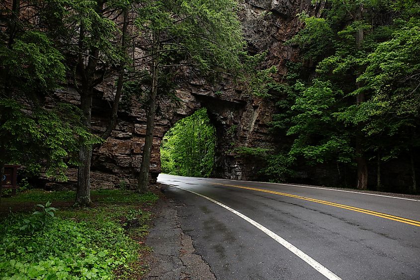 Backbone Rock in Damascus Virginia.