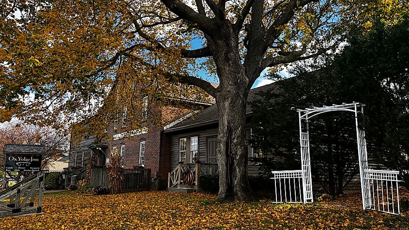 Fall foliage in the Amana Colonies, Iowa.