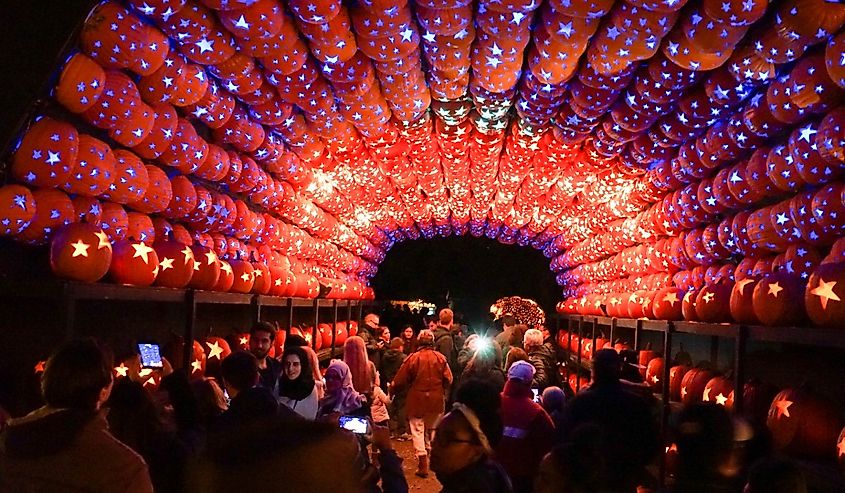 Croton-on-Hudson, New York, The Annual Great Jack O'Lantern Blaze at Van Cortlandt Manor