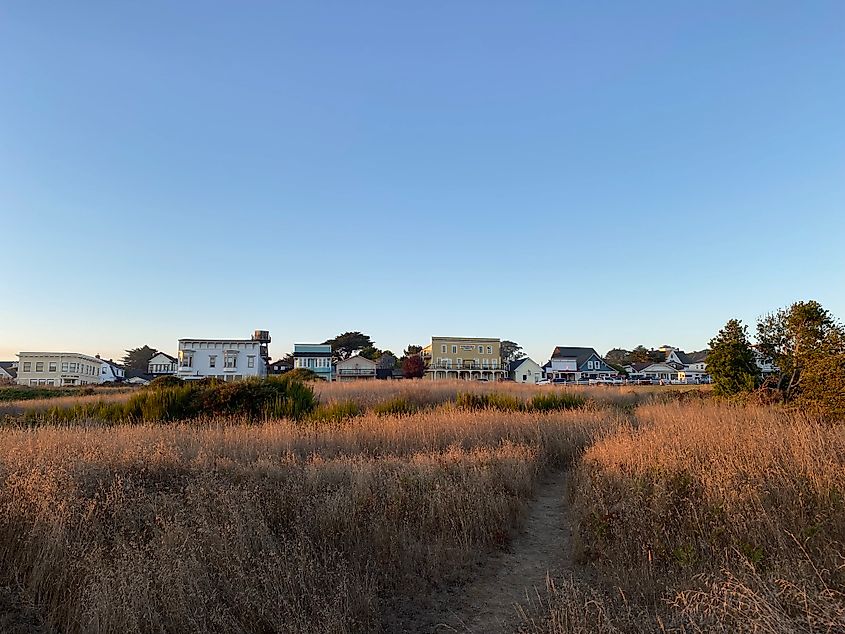 A windswept yellow grassy trail leads towards a string of pastel coloured buildings on Mendocino’s Main Street.