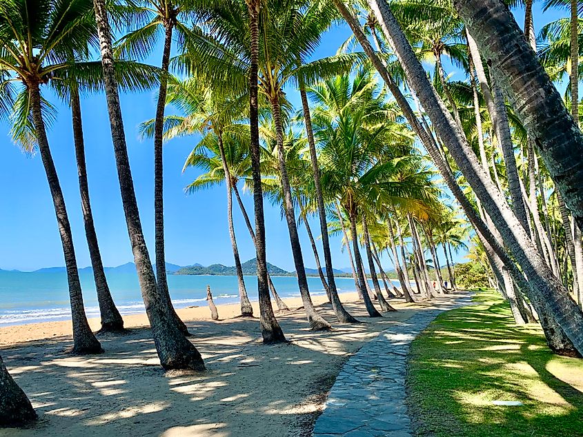 Palm Cove, Queensland. In Wikipedia. https://en.wikipedia.org/wiki/Palm_Cove,_Queensland By Kgbo - Own work, CC BY-SA 4.0, https://commons.wikimedia.org/w/index.php?curid=92700779