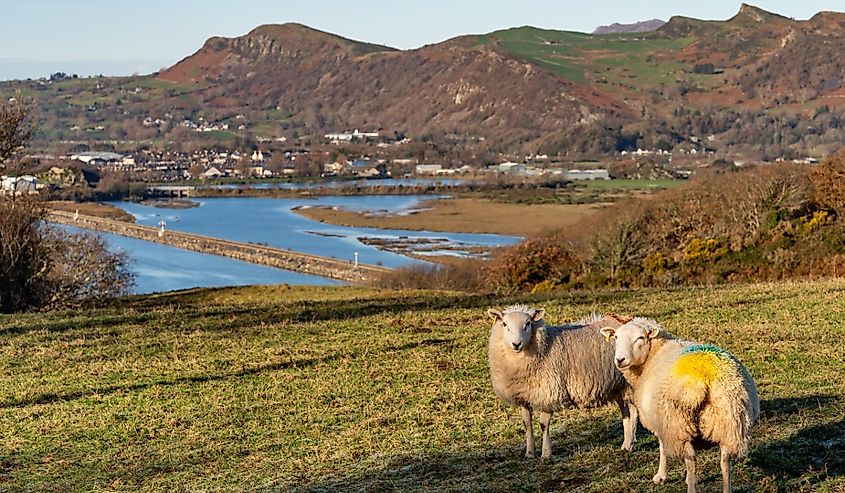 Views around Porthmadog countryside north Wales uk