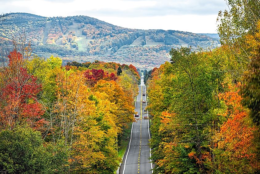 Spectacular fall colors along the highway through the Blackwater Falls State Park near Davis, West Virginia.