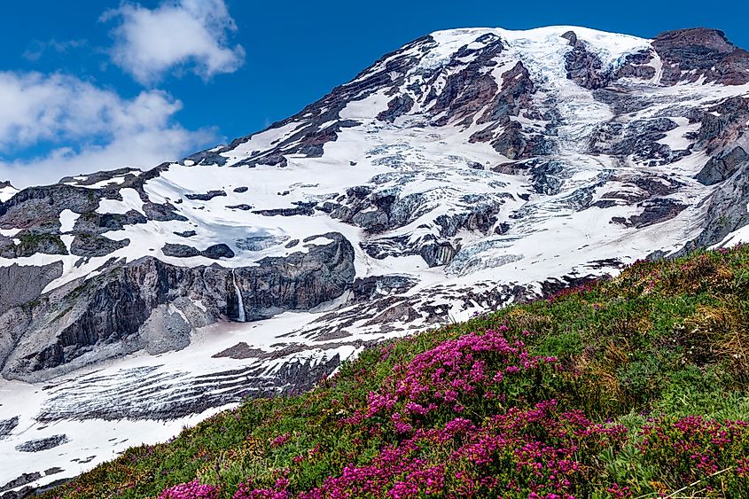 Skyline Trail in Mount Rainier National Park, Washington.