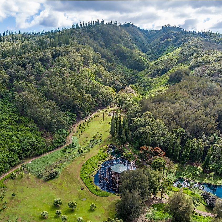 Adventure Tower on Lānaʻi, Hawaii.