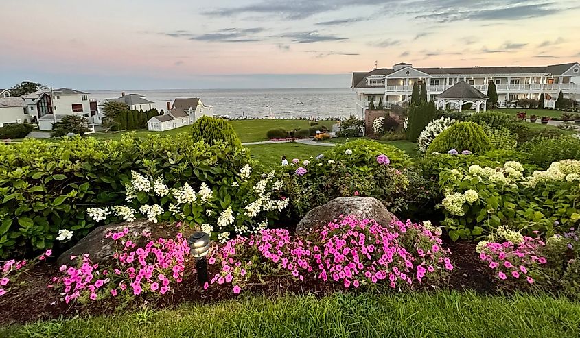 Pink flowers by the sea at Waters Edge Resort and Spa in Westport Connecticut