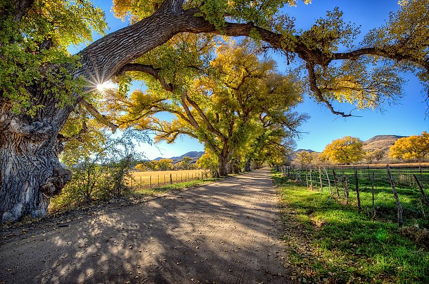 Cottonwood Lane in Skull Valley, Arizona.